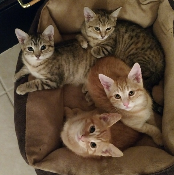 ๐ฌ Shop till you drop! ๐ฌ - Picture 5 of 7